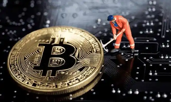 Expansive cryptocurrency mining farm showcasing hosted Chinese mining machines