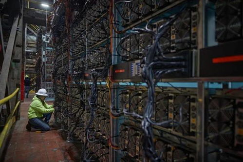 A picture of a mining farm full of computer equipment