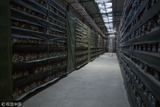 A high-density mining farm showcases the scale and specialized infrastructure required for successful cryptocurrency mining operations.