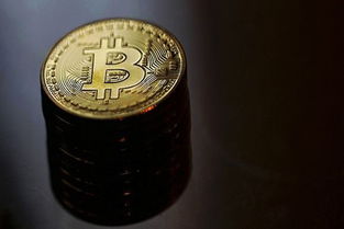 Cutting-edge energy-efficient mining rig operating in a hosting farm